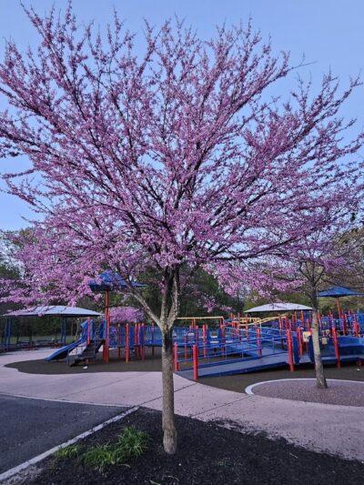 Jake's Place Playground - Cherry Hill Township, NJ