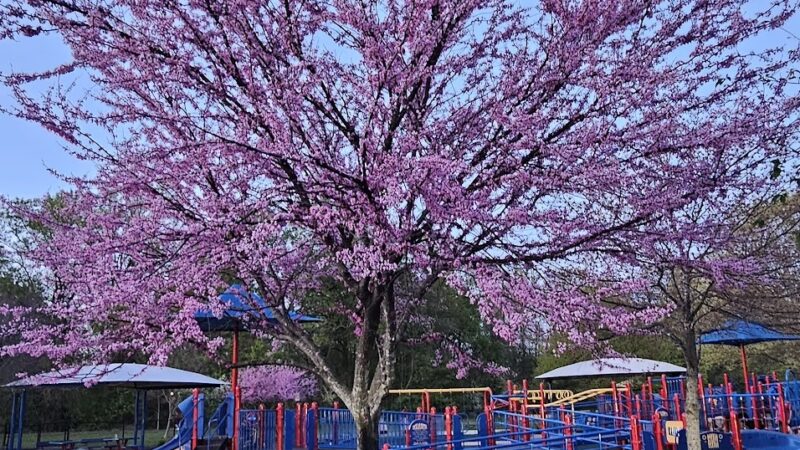 Jake's Place Playground - Cherry Hill Township, NJ