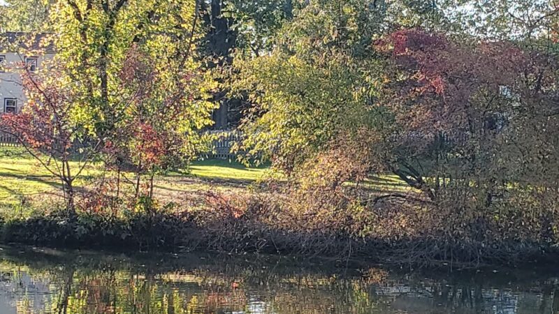 Willowdale Park - Cherry Hill Township, NJ