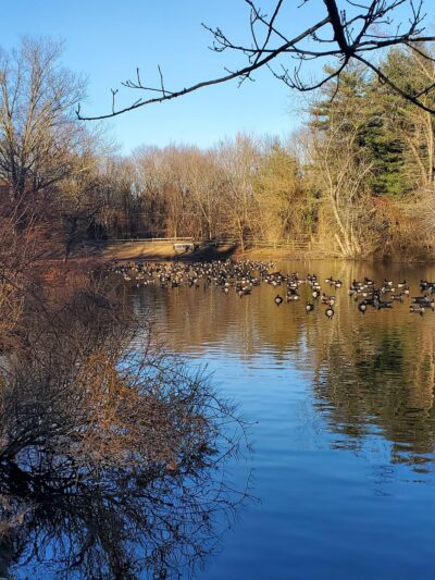 Willowdale Park - Cherry Hill Township, NJ