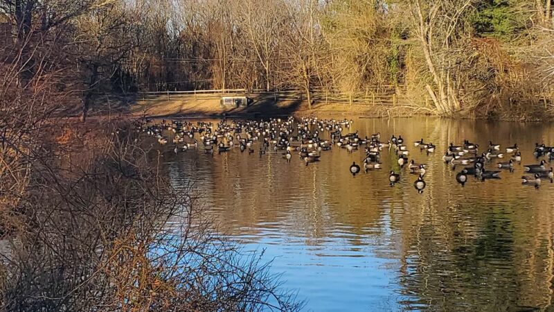 Willowdale Park - Cherry Hill Township, NJ