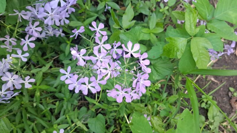 Kishwaukee River Recreation Path - Cherry Valley, IL