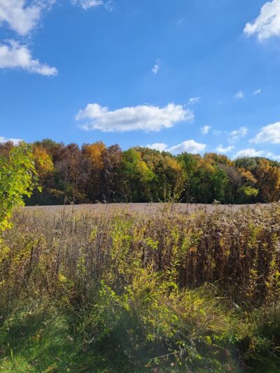 Swanson Park - Cherry Valley, IL