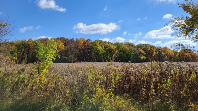 Swanson Park - Cherry Valley, IL