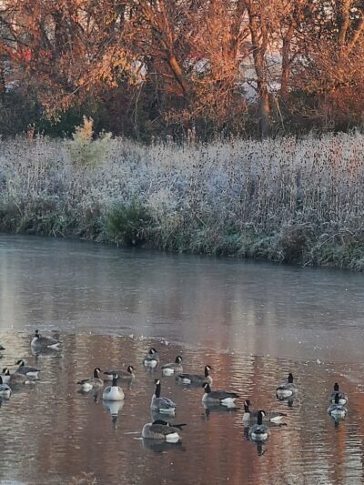 Swanson Park - Cherry Valley, IL