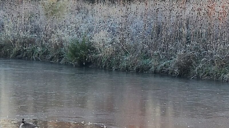 Swanson Park - Cherry Valley, IL