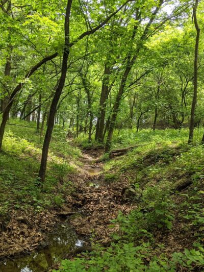 Cherryvale Park, Big Hill Lake - Cherryvale, KS