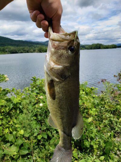 Cheshire Reservoir - Cheshire, MA