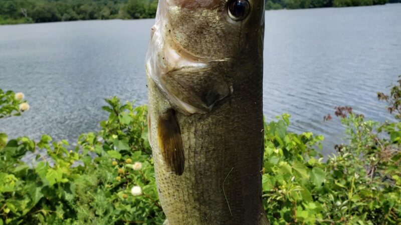Cheshire Reservoir - Cheshire, MA