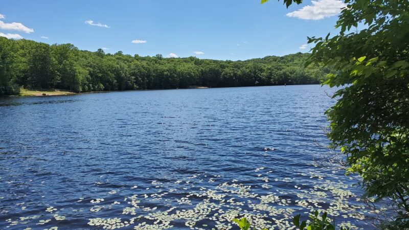 Cockaponset State Forest - Chester, CT
