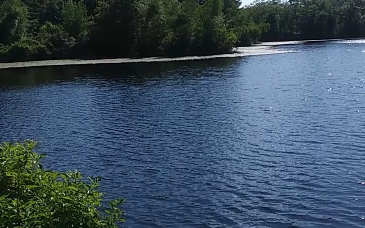 Cockaponset State Forest - Chester, CT