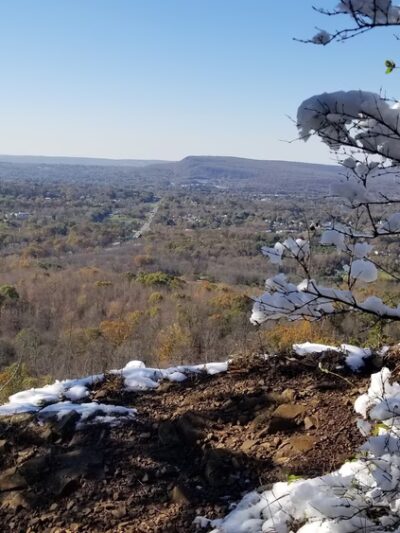 Cockaponset State Forest - Chester, CT