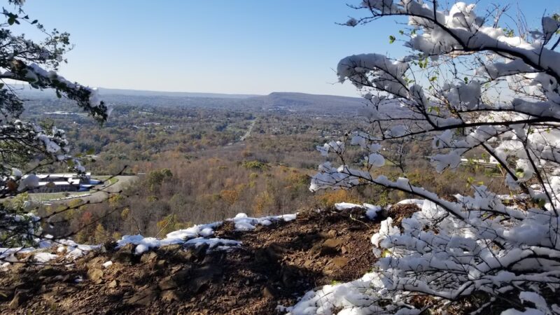 Cockaponset State Forest - Chester, CT
