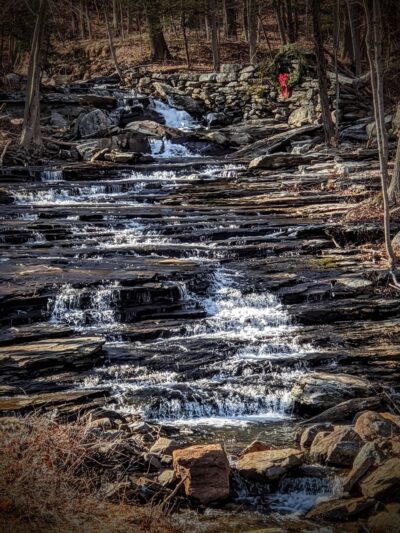 Cockaponset State Forest - Chester, CT