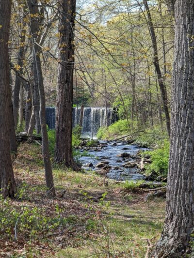 Pattaconk Recreation Area (Cockaponset State Forest) - Chester, CT
