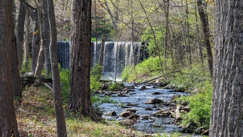 Pattaconk Recreation Area (Cockaponset State Forest) - Chester, CT