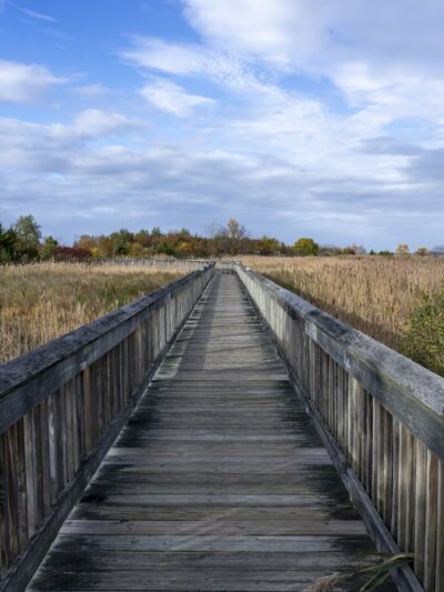 Ferry Point Park - Chester, MD