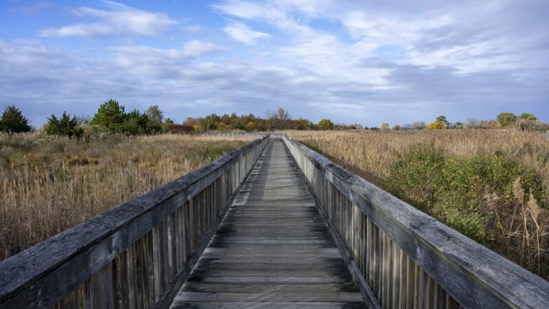 Ferry Point Park - Chester, MD