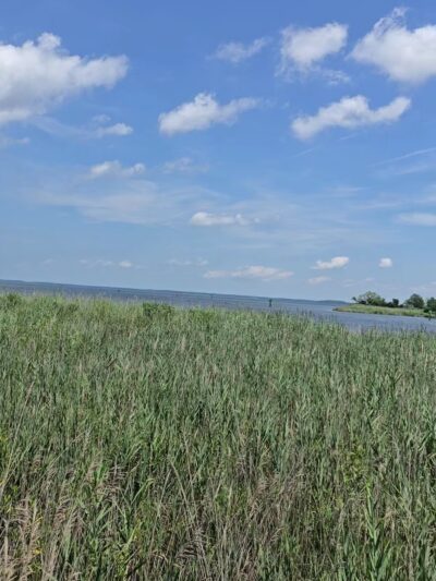 Ferry Point Park - Chester, MD