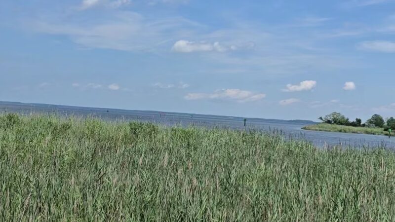 Ferry Point Park - Chester, MD