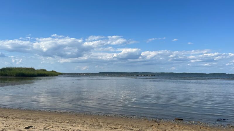 Ferry Point Park - Chester, MD