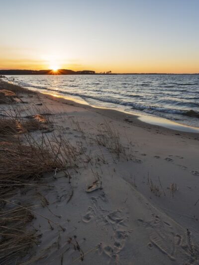Ferry Point Park - Chester, MD