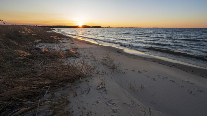 Ferry Point Park - Chester, MD