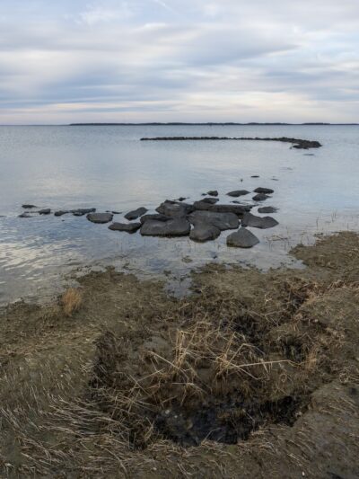 Ferry Point Park - Chester, MD