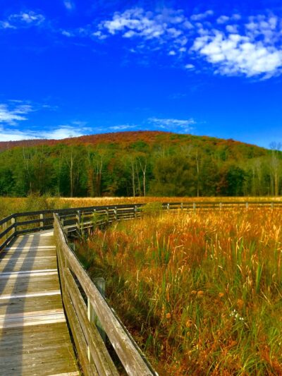 Goosepond Mountain State Park - Chester, NY