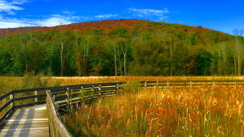 Goosepond Mountain State Park - Chester, NY