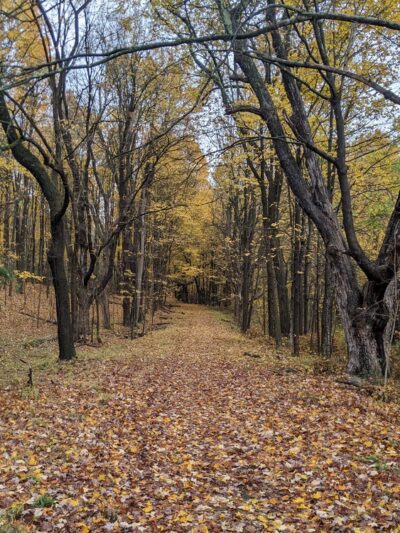 Goosepond Mountain State Park - Chester, NY