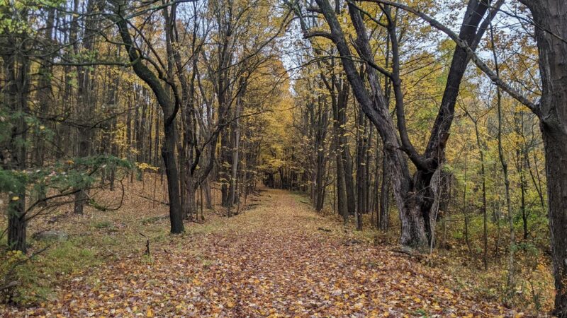 Goosepond Mountain State Park - Chester, NY