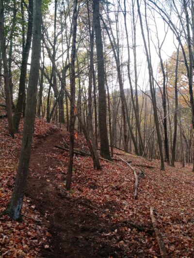 Goosepond Mountain State Park - Chester, NY
