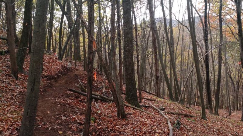 Goosepond Mountain State Park - Chester, NY
