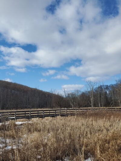 Goosepond Mountain State Park - Chester, NY