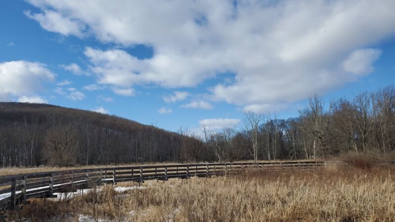 Goosepond Mountain State Park - Chester, NY