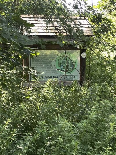 Goosepond Mountain State Park Wetland Trail - Chester, NY