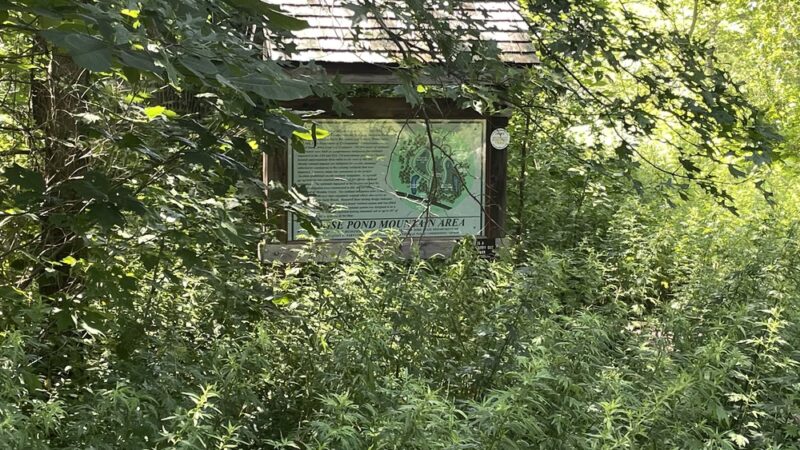 Goosepond Mountain State Park Wetland Trail - Chester, NY