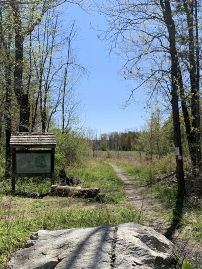 Goosepond Mountain State Park Wetland Trail - Chester, NY