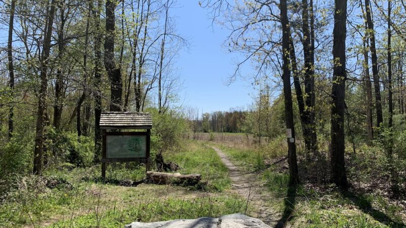 Goosepond Mountain State Park Wetland Trail - Chester, NY