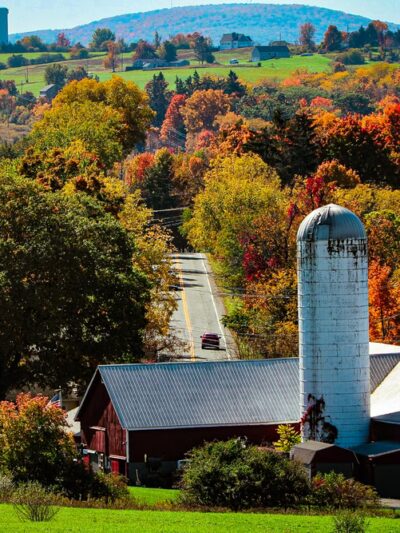 Knapp’s View - Chester, NY