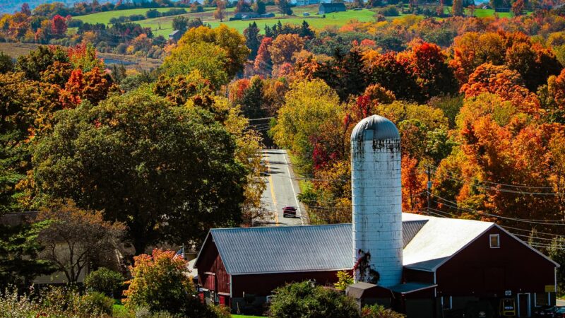 Knapp’s View - Chester, NY