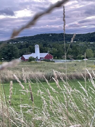 Knapp’s View - Chester, NY