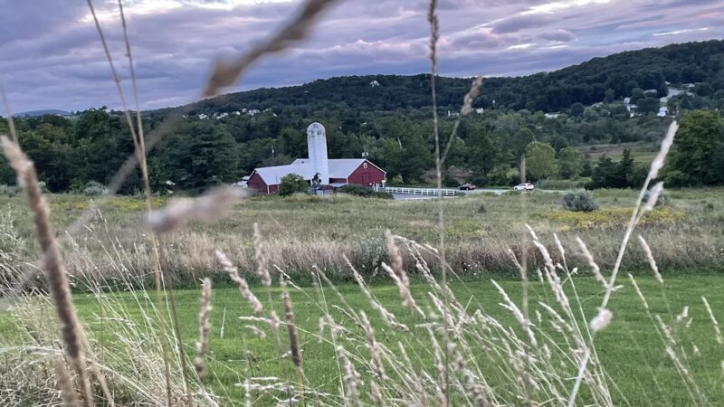 Knapp’s View - Chester, NY