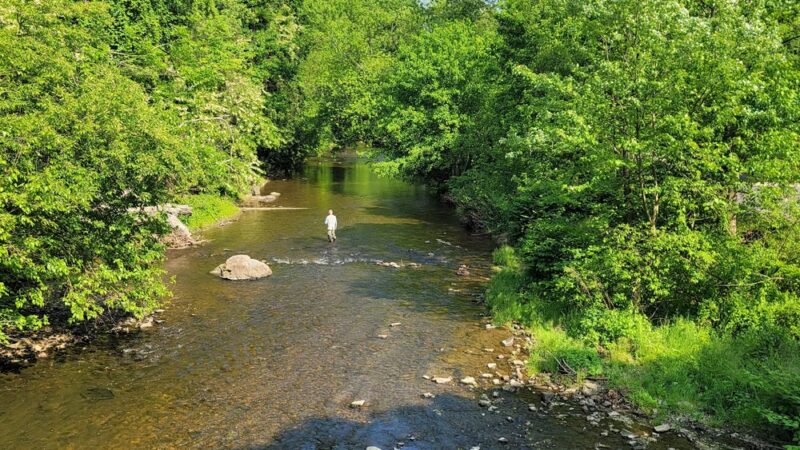 Chester Park - Chester, PA