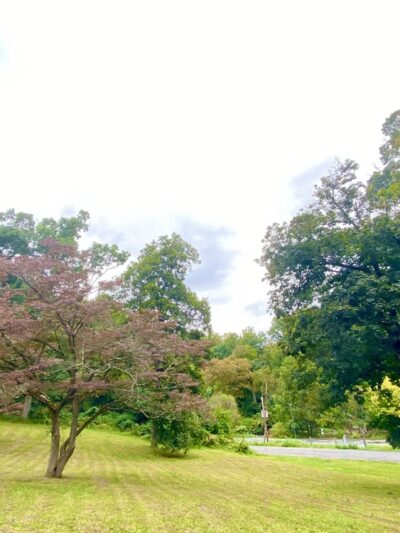 Chester Park - Chester, PA