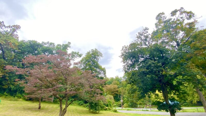 Chester Park - Chester, PA