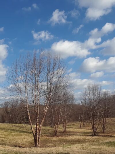 Chester Park - Chester, PA