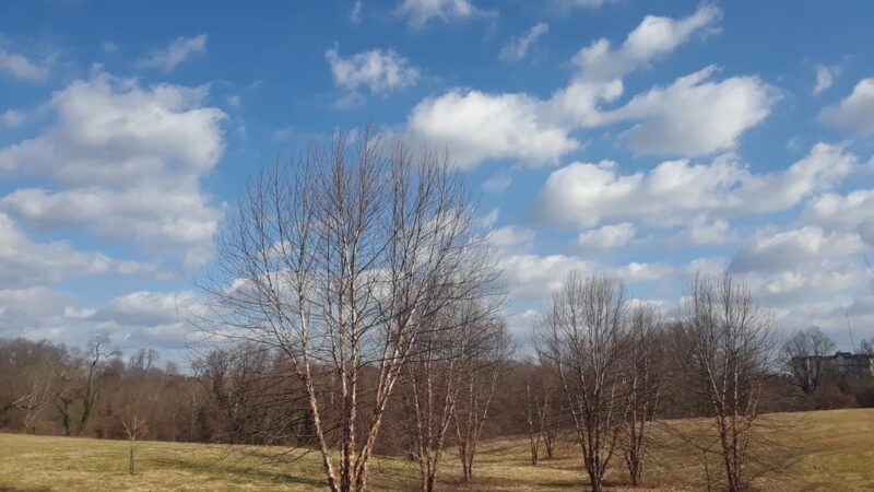 Chester Park - Chester, PA