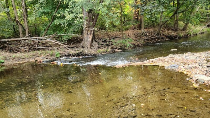 Chester Park - Chester, PA